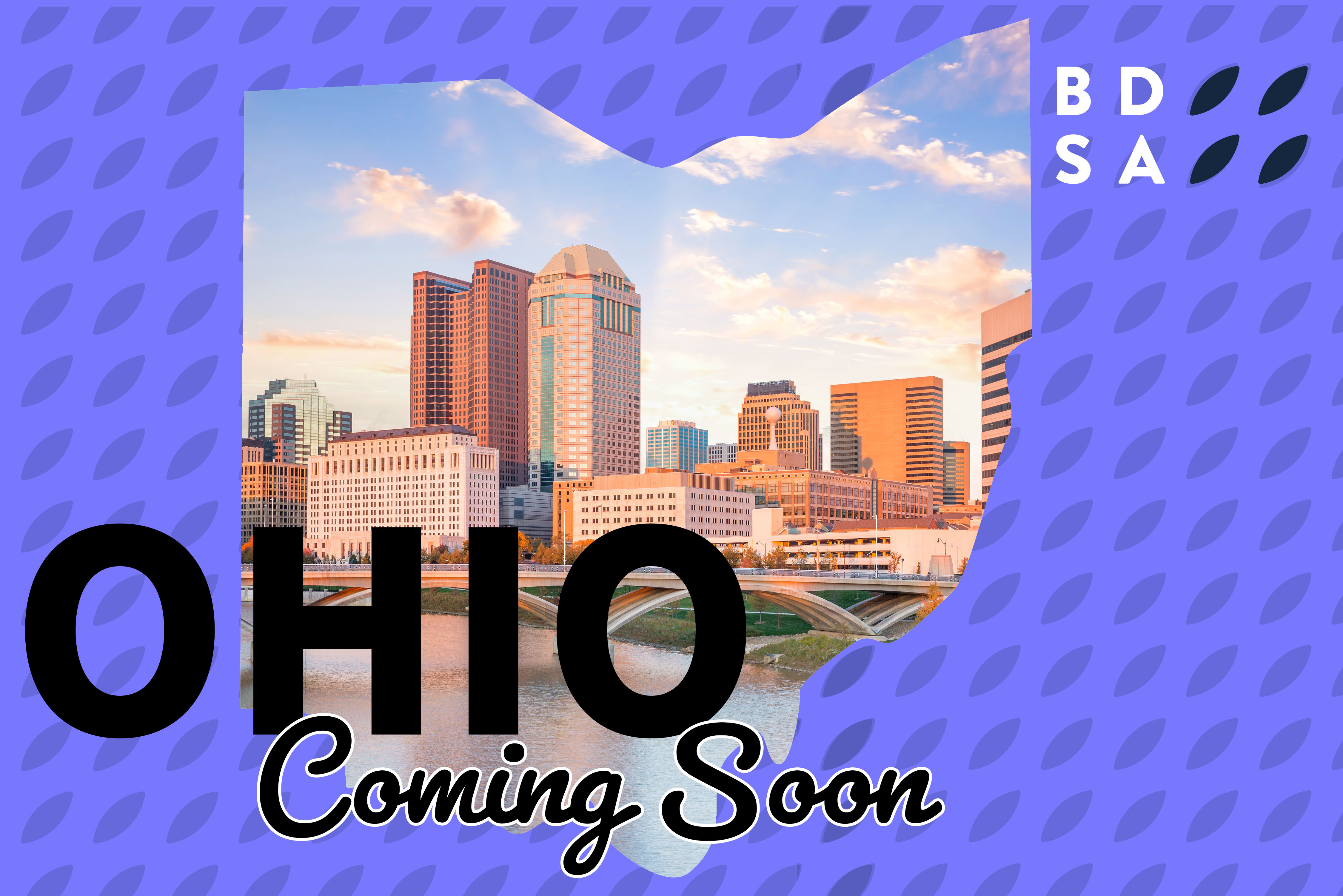 BDSA Ohio Market Launch